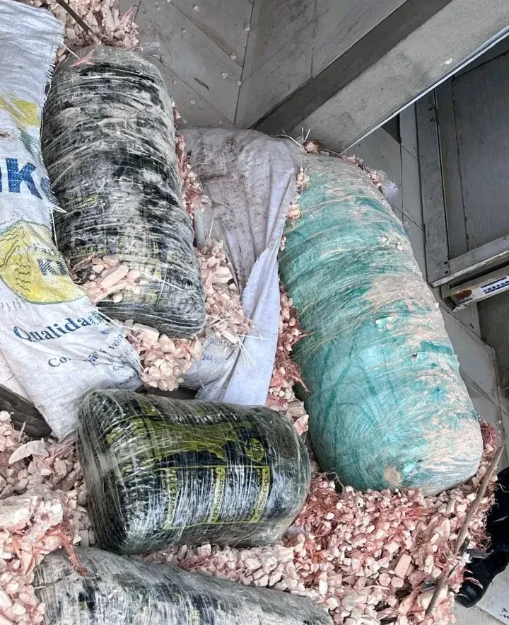 Cidadã de 43 anos detida com 125 quilogramas de liamba no Zaire