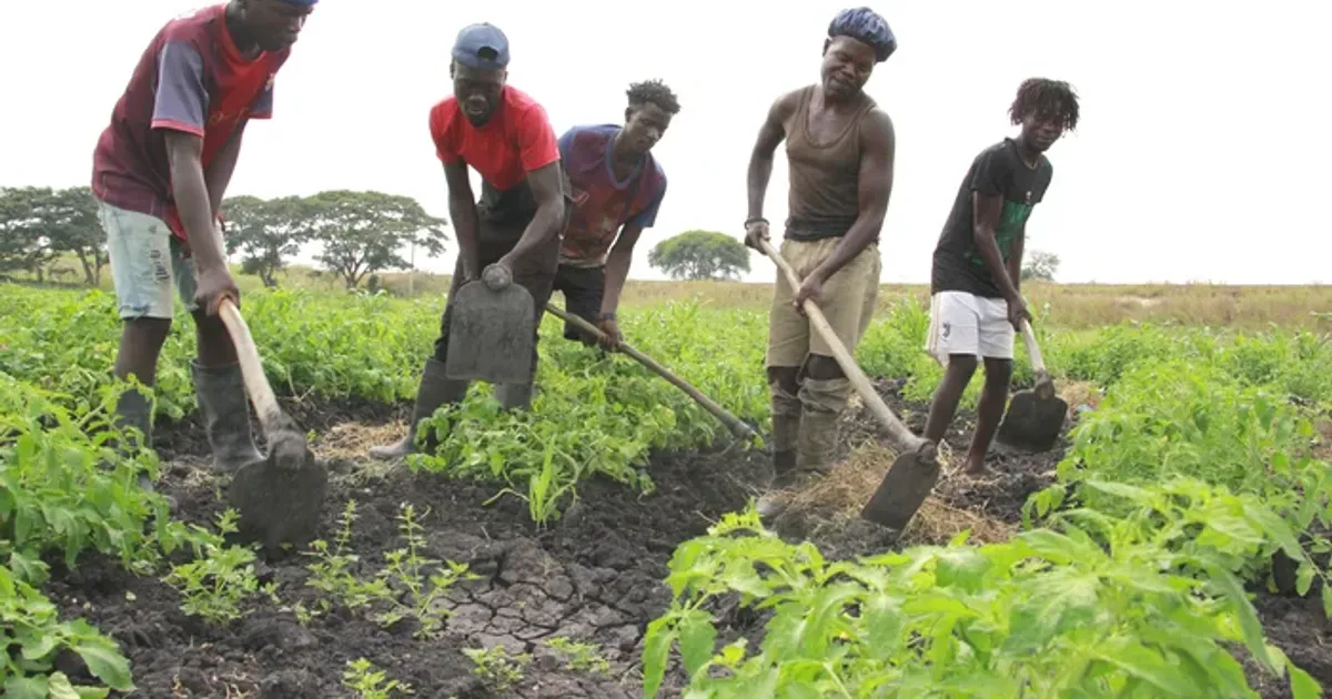 Escolas Familiares Rurais tidas como alternativa para o subsistema de ensino em Angola