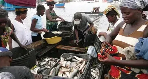 Produção de pescado cresce para 725 mil toneladas em 2025