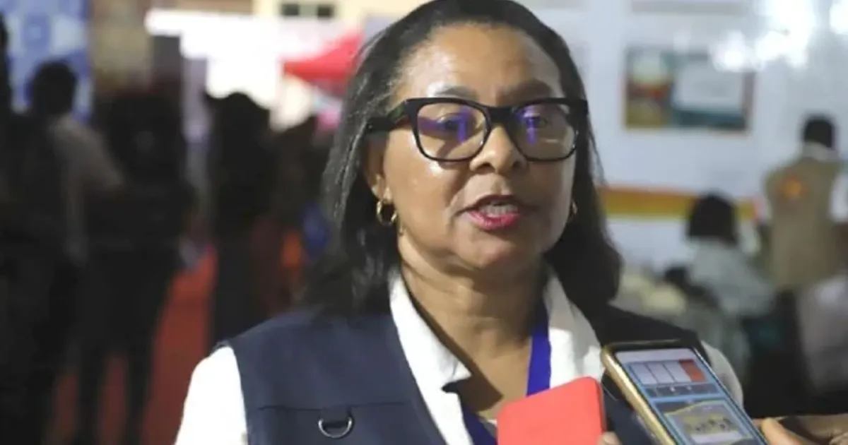 Sal de Angola passa a ser comercializado na RDC a partir da próxima semana