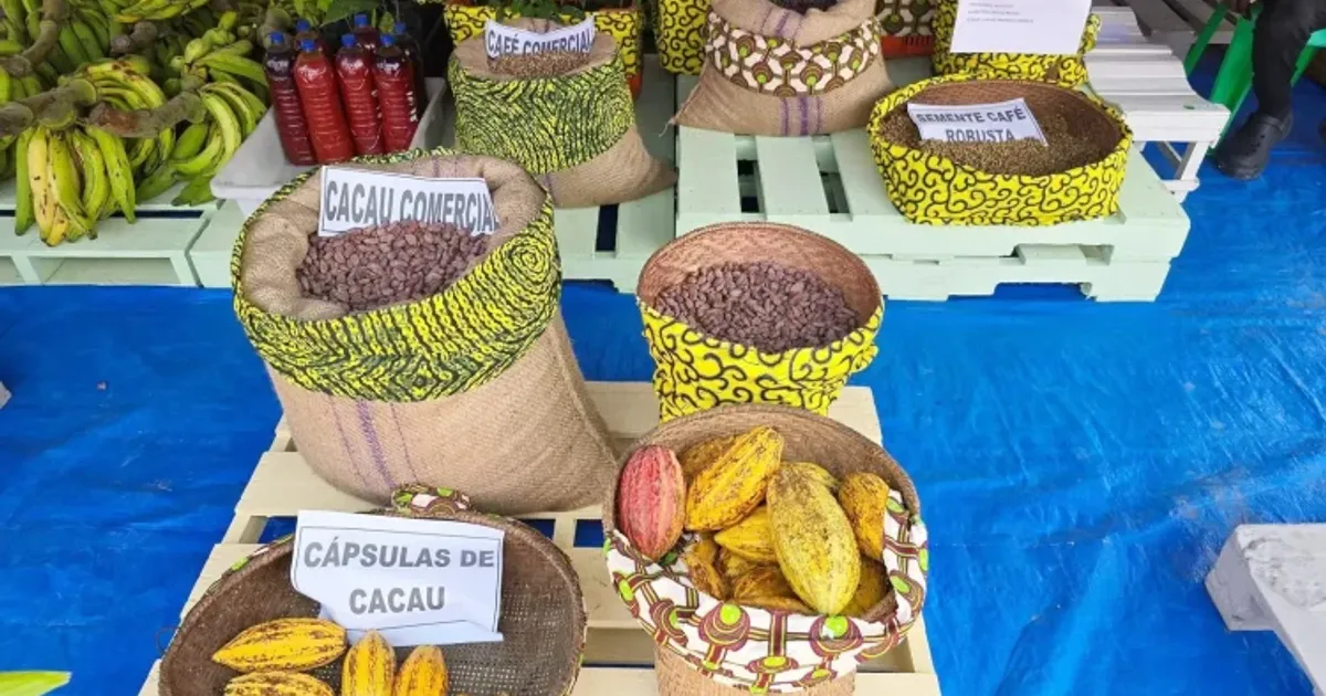 Expo-Cabinda 2025 arrecada mais de um bilião e 700 milhões de kwanzas com a promoção de vários negócios