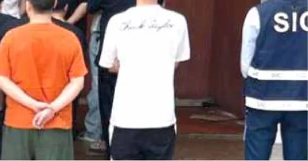SIC detém cidadãos chineses flagrados a transportar mais de seis mil blocos de madeira da espécie mussivi