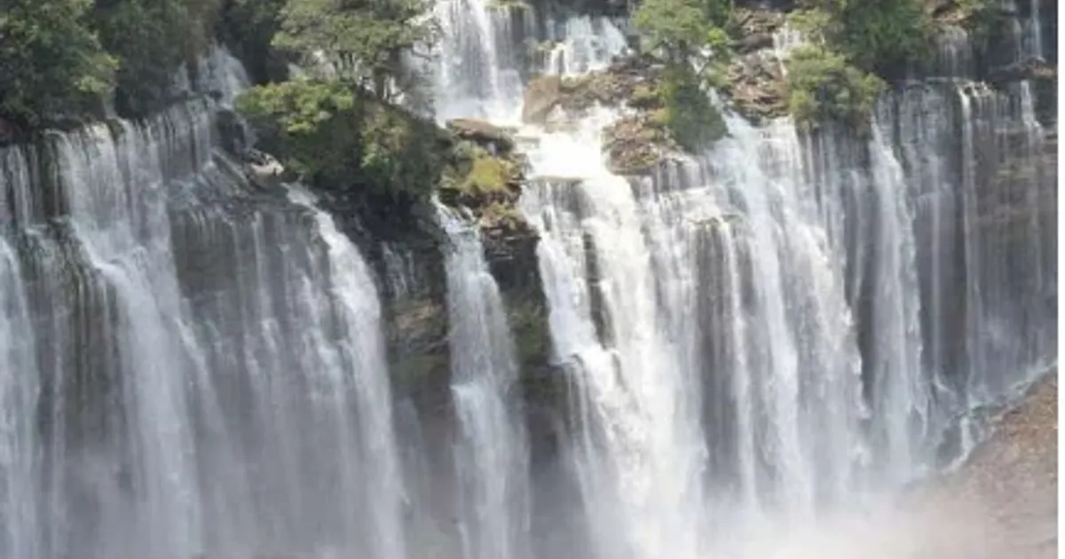 Autoridades asseguram adopção de políticas voltadas à sustentabilidade ambiental