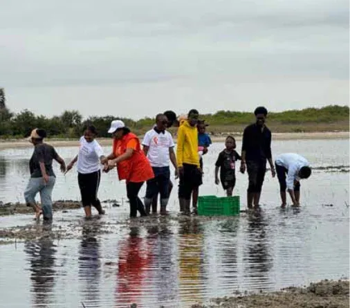OCIF impulsiona campanha de plantação de mangais na costa marítima de Luanda com 2,2 milhões de euros