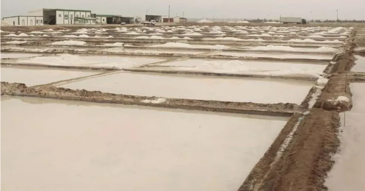 Indústria salineira produziu mais de 400 mil toneladas de sal em dois anos