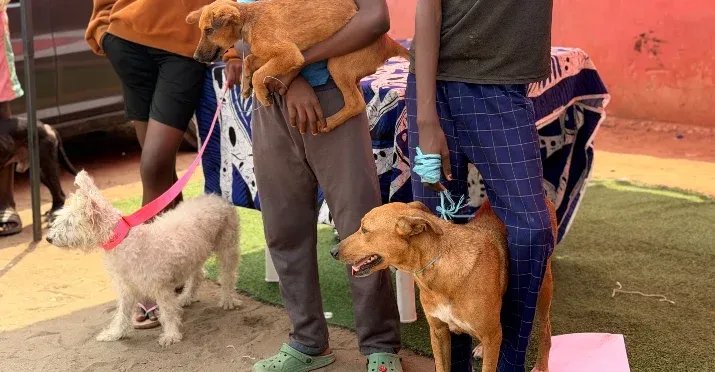 Camama prevê vacinar mais de 3 mil animais durante campanha antirrábica
