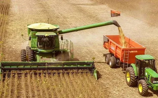 Menongue regista colheita de mais de 70 toneladas de arroz da Fazenda Sabeca na campanha de 2026