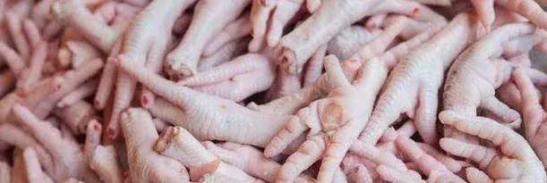 ANAVI denuncia importação de rabinho de bovino e restos de frango quase um ano após proibição do Governo