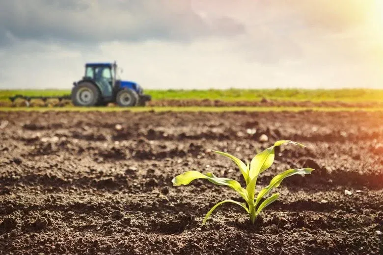 Angola recebe financiamento europeu para o sector Agrícola