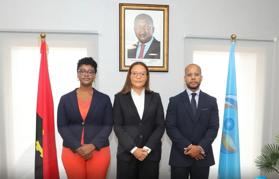 Rede Girassol anuncia novo Conselho de Administração