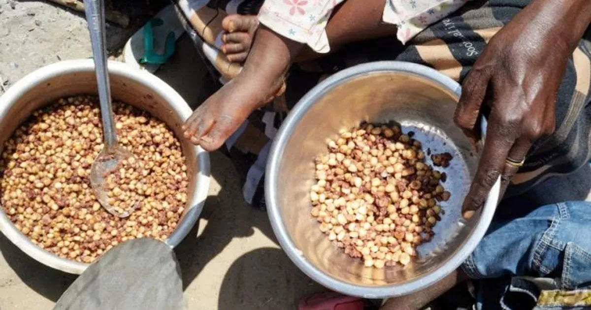 Angola entre os países com alta insegurança alimentar e risco de acesso à água limpa