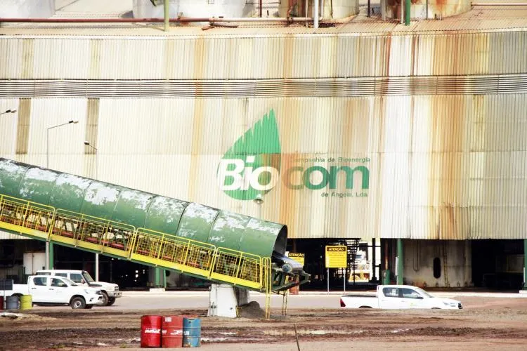 Biocom mantém-se nos “cuidados intensivos”