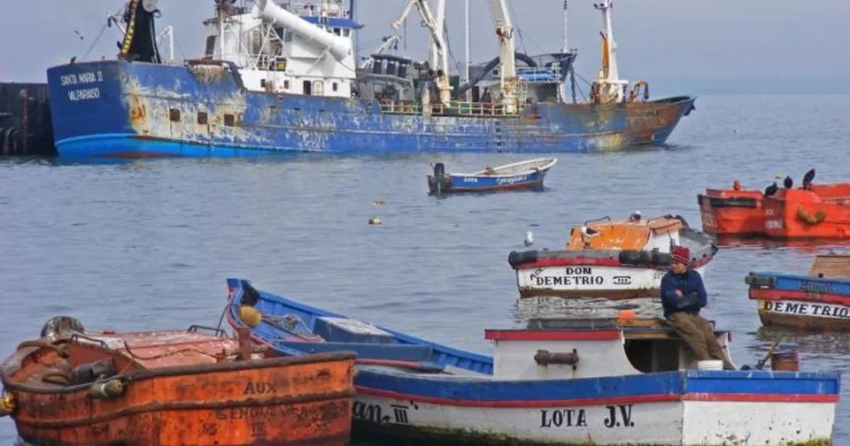 Governo proíbe pesca de carapau até final de Agosto