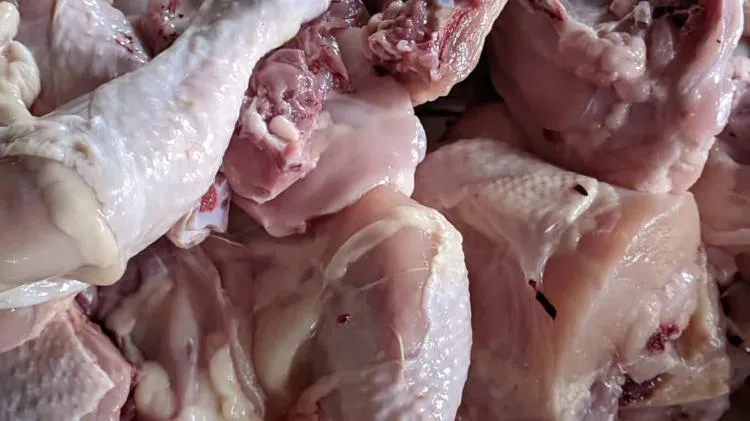 Agricultura já deixou de emitir licenças para importação de miudezas e não recua na proibição da coxa de frango