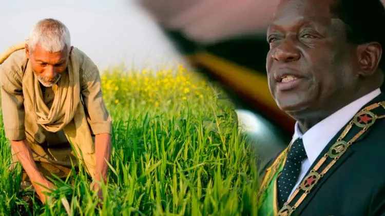 Zimbabué paga 521 milhões de dólares a agricultores brancos