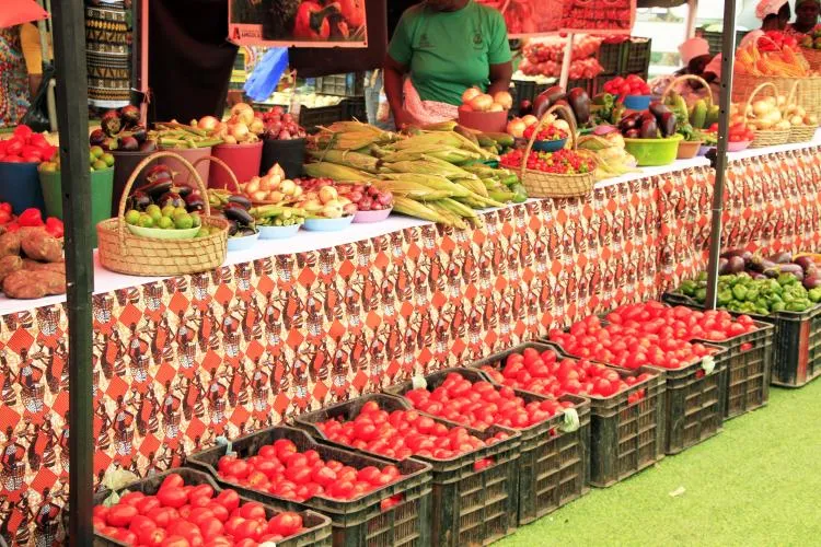 Produção agrícola em Luanda fecha campanha com défice de 31,8% Produção agrícola em Luanda fecha campanha com défice de 31,8%