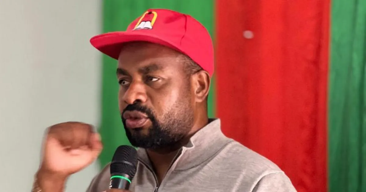 Nelito Ekuikui: Angola “não é uma democracia”