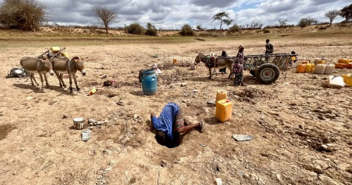 Província do Namibe ordena desarmamento de civis em dois municípios